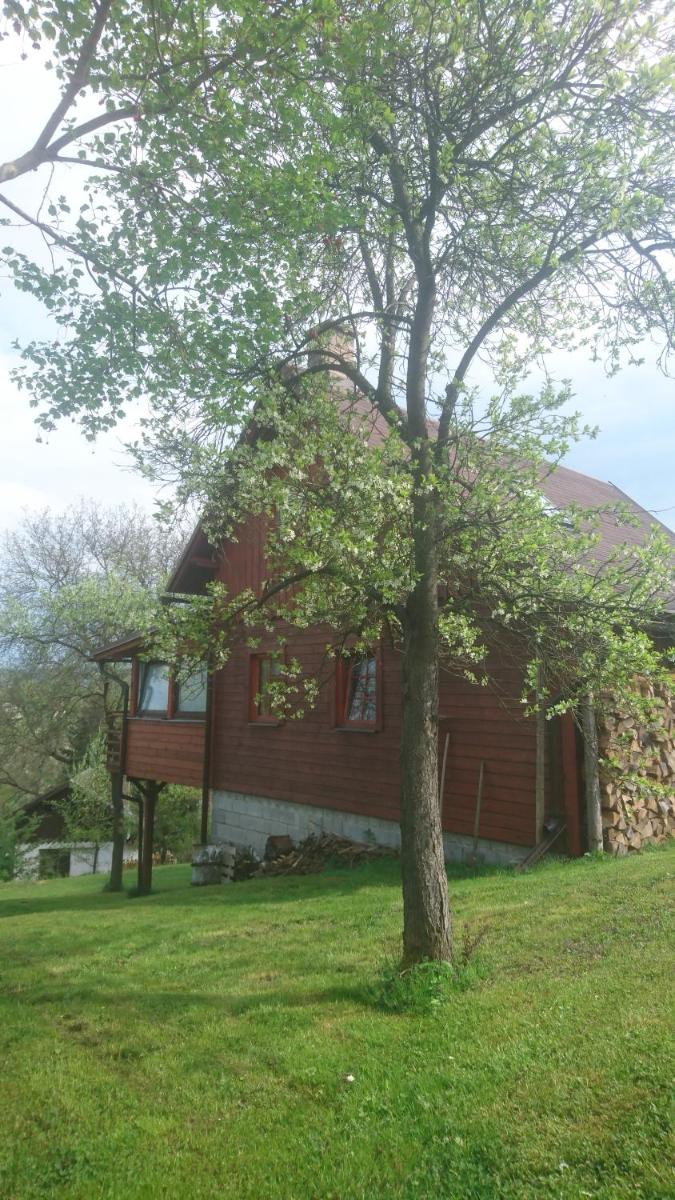 Image 3 of Chata s bazénem Bozkov