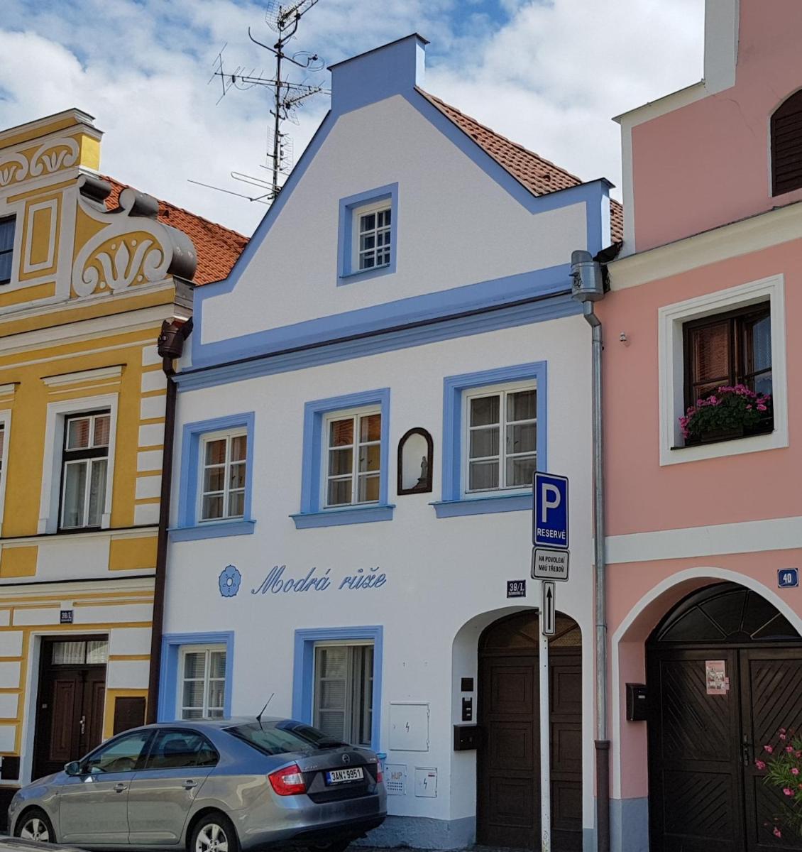 Image 4 of Modrá růže Třeboň
